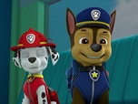 Replay Paw Patrol, la Pat'Patrouille - La course de caisses à savon