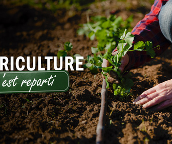 Replay L'agriculture, c'est reparti
