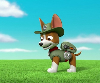 Replay Paw Patrol, la Pat'Patrouille - Monsieur Hellinger retombe en enfance