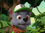 Replay Paw Patrol, la Pat'Patrouille - La plus grosse omelette du monde