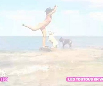 Replay Le grand bêtisier des animaux - Émission 3