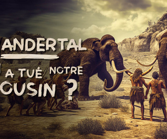 Replay Néandertal : qui a tué notre cousin ?