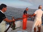 Replay ARTE Journal - Italie : le changement climatique menace la pêche traditionnelle