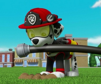 Replay Paw Patrol, la Pat'Patrouille - Sauvetage Extrême : La cérémonie d'ouverture