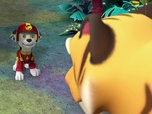 Replay Paw Patrol, la Pat'Patrouille - Mission Jungle : Le tigre à dents de sabre