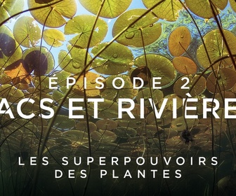 Replay Les superpouvoirs des plantes - 04/02/2025