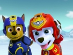 Replay Paw Patrol, la Pat'Patrouille - Le bébé pingouin