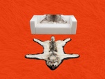 Replay Pourquoi la taxidermie est-elle si vivante ? - Gymnastique