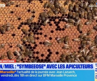 Replay Les longs formats des Locales - Dans Notre Histoire : les étapes de production du miel de Provence