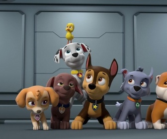 Replay Paw Patrol, la Pat'Patrouille - Mission camion : Panique sur l'autoroute