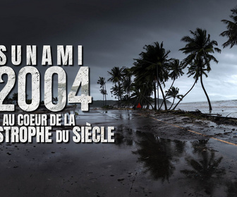 Replay Tsunami de 2004 : au coeur de la catastrophe du siècle