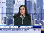 Replay BFM Bourse - Ces 30 fonds d'investissement pour jouer la biodiversité - 15/11