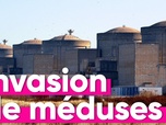 Replay Top Info - Comment le réchauffement climatique a provoqué l'arrêt d'une centrale nucléaire ?