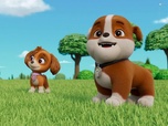 Replay Paw Patrol, la Pat'Patrouille - Des chèvres en danger