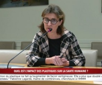 Replay 100% Sénat - Quel est l'impact des plastiques sur la santé humaine ?