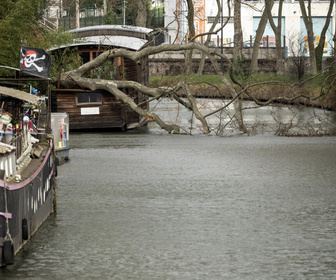 Replay Élément Terre, la quotidienne - Nils, une tempête amplifiée par le dérèglement climatique