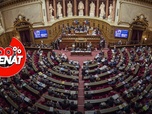 Replay 100% Sénat - Le Sénat maintient le transfert d'une fraction de TVA aux régions
