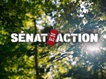 Replay Sénat en action - Forêts françaises, le défi climatique