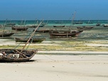 Replay Zanzibar - Îles de beautés