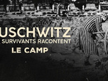 Replay Auschwitz, des survivants racontent - 25/01/2026