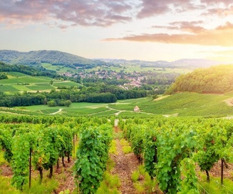 Replay La Bourgogne à la conquête du monde