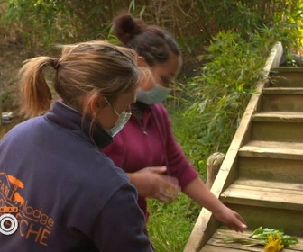 Replay Une saison au zoo - S13 E21