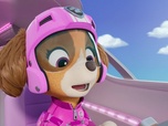 Replay Paw Patrol, la Pat'Patrouille - La Pat' Patrouille des Airs : Le sauvetage de l'avion royal