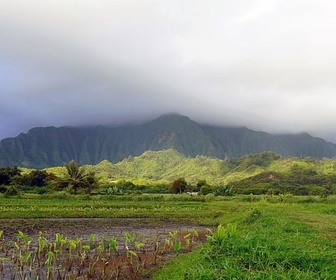 Replay Oahu - L'archipel d'Hawaï
