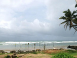 Replay Le Sri Lanka, l'île aux trésors
