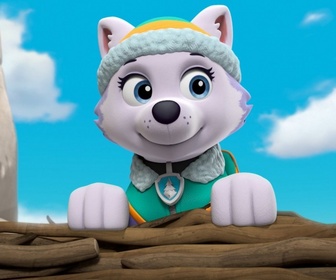 Replay Paw Patrol, la Pat'Patrouille - S03 E30 - Que les jeux commencent !