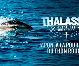 Thalassa, aventures extrêmes replay