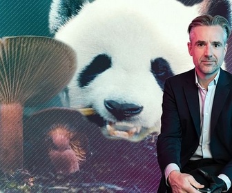 Replay Biodiversité : des pansements sur une jambe de bois ? - Les questions qui fâchent