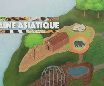 Replay Une saison au zoo - S12 E11