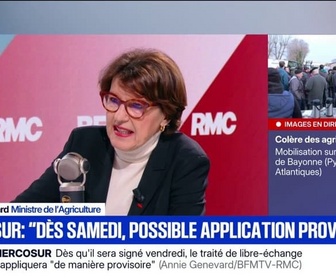 Replay Face à Face - Annie Genevard détaille le principe des brigades chargées du contrôle des produits importés