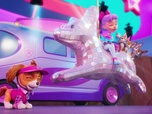 Replay S00 E76 - Compilation Paw Patrol, la Pat'Patrouille 76