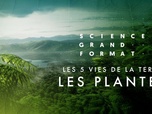 Replay Science grand format - Les 5 vies de la Terre - Les plantes