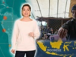 Replay Indonésie : l'émergence d'un géant - Le dessous des cartes - L'essentiel