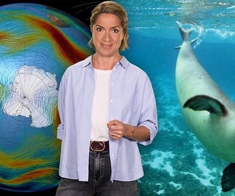 Replay Couche d'ozone : réparer le monde - Le dessous des cartes - L'essentiel