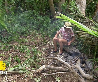 Replay Koh-Lanta : l'île des héros - Emission 2