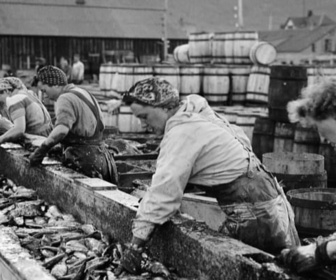 Replay Invitation au voyage - 26/02/2026 - En Islande, l'épopée de la ruée vers le hareng