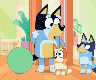 Replay Bluey - 08/11/2025