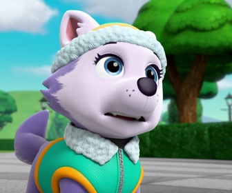 Replay Paw Patrol, la Pat'Patrouille - La bonne vieille source
