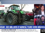 Replay Apolline de 9 à 10 - Cet agriculteur de Seine-et-Marne prend part au cortège de près de 400 tracteurs en direction de Bruxelles pour protester contre le Mercosur