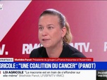 Replay Face à Face - Loi d'urgence agricole: La science a déjà tranché sur la dangerosité des néonicotinoïdes, affirme Mathilde Panot, présidente du groupe LFI à l'Assemblée