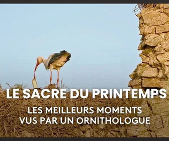 Replay Le sacre du printemps - 04/05/2026
