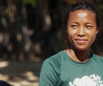 Replay Le secret des mangroves de Madagascar - Rise - Madagascar