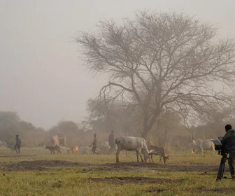 Replay Sur la piste du dernier rhinocéros blanc