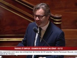 Replay 100% Sénat - Budget 2025 : examen de la mission travail et emploi