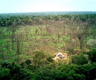 Replay ARTE Journal - Belém : la COP de la dernière chance pour l'Amazonie ?