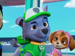 Replay Paw Patrol, la Pat'Patrouille - Mystère dans le champ de maïs